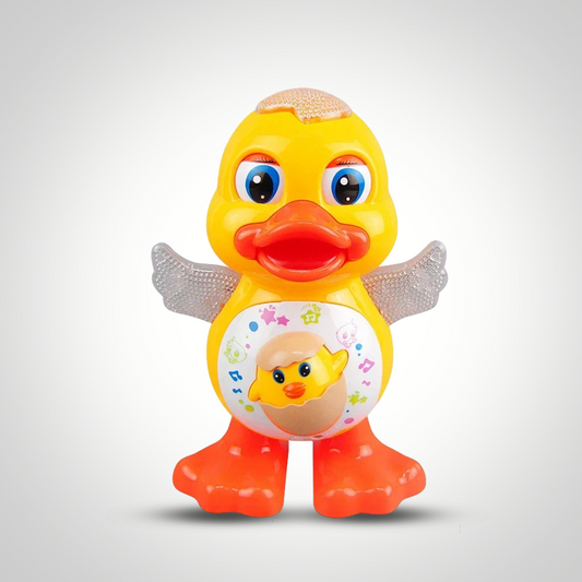 Wild Duck Toy